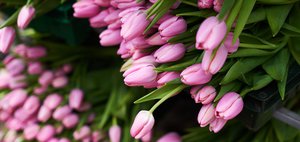 Личного счастья и исполнения желаний: поздравления с 8 Марта для женщин Иркутской области