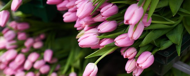 Личного счастья и исполнения желаний: поздравления с 8 Марта для женщин Иркутской области