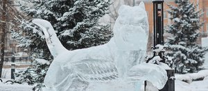 Как провести выходные: нам морозы нипочём!