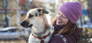 Как провести выходные: ремонт, собаки и искусство