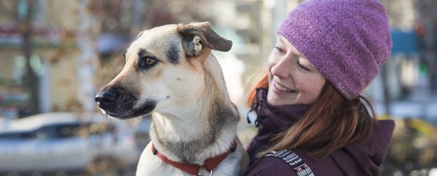 Как провести выходные: ремонт, собаки и искусство