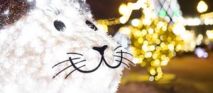 Как провести выходные: открываем ёлку в сквере Кирова