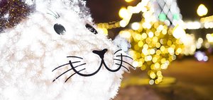 Как провести выходные: открываем ёлку в сквере Кирова