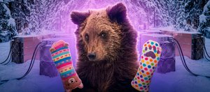 События недели: майнинговая ферма в лесу, кража 42 пар носков и одинокий медвежонок