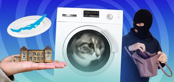 События недели: постиранный кот, карманник и наркотики в трусах