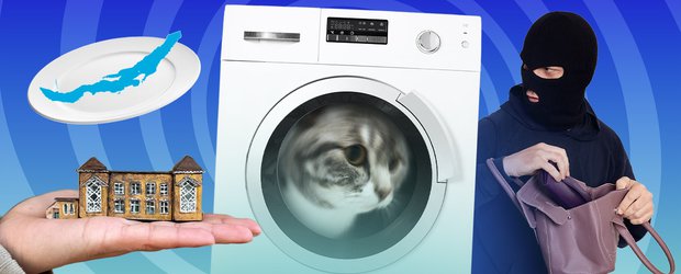 События недели: постиранный кот, карманник и наркотики в трусах