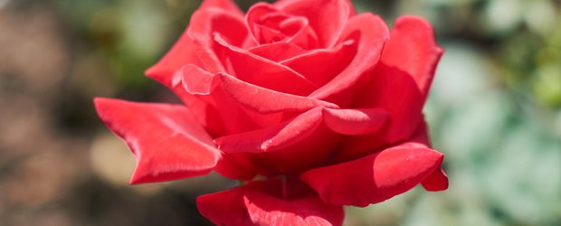 Без банальностей: выбираем подарки на 8 Марта