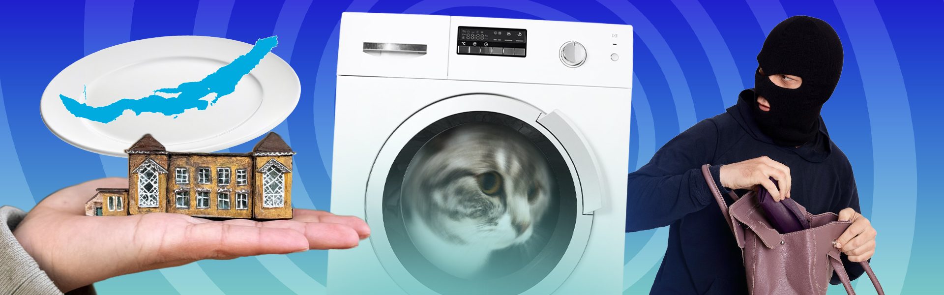 События недели: постиранный кот, карманник и наркотики в трусах