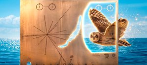 События недели: звездная пластина, выстрел в колено и птичка Истеричка