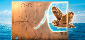 События недели: звездная пластина, выстрел в колено и птичка Истеричка