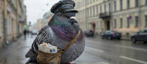 События недели: почтовые голуби, Маликов на льду Байкала и сгущенка раздора