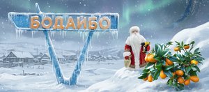 События недели: кумкват, авария в Бодайбо и украденный Дед Мороз