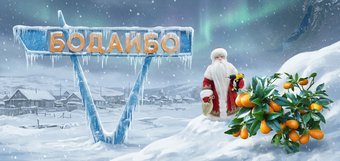 События недели: кумкват, авария в Бодайбо и украденный Дед Мороз