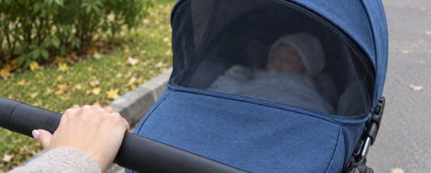 Пособие по беременности и родам для студенток: кто может получить и как оформить