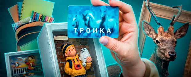 События недели: конопляный огородник, ежик-нелегал и трехногий олень