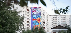 Муралы Академгородка: маршрут по самым ярким работам уличных художников