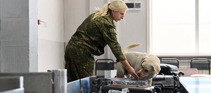 Шашлык из скорпионов, алмазы в сумке и хвостатые коллеги. За кулисами иркутской таможни