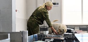 Шашлык из скорпионов, алмазы в сумке и хвостатые коллеги. За кулисами иркутской таможни