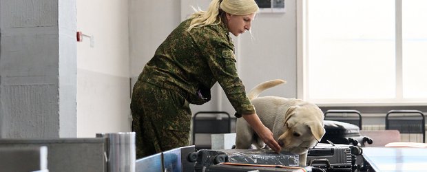 Шашлык из скорпионов, алмазы в сумке и хвостатые коллеги. За кулисами иркутской таможни