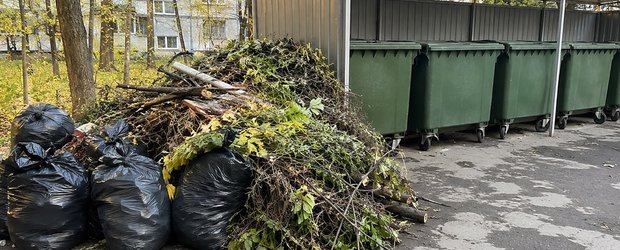«РТ-НЭО Иркутск» о правилах осенней уборки: куда исчезает мусор после субботников