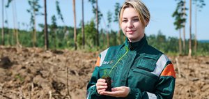180 тысяч саженцев и 90 гектаров нового леса: как Эн+ Уголь восстанавливает экосистему Сибири