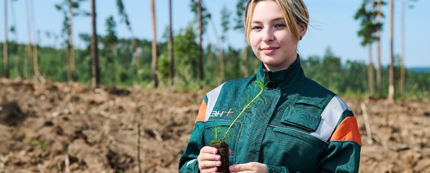 180 тысяч саженцев и 90 гектаров нового леса: как Эн+ Уголь восстанавливает экосистему Сибири