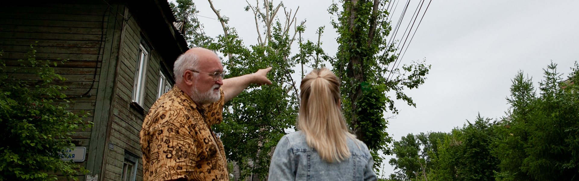 Почему в Иркутске вырубают деревья? Мнение жителей и экспертов