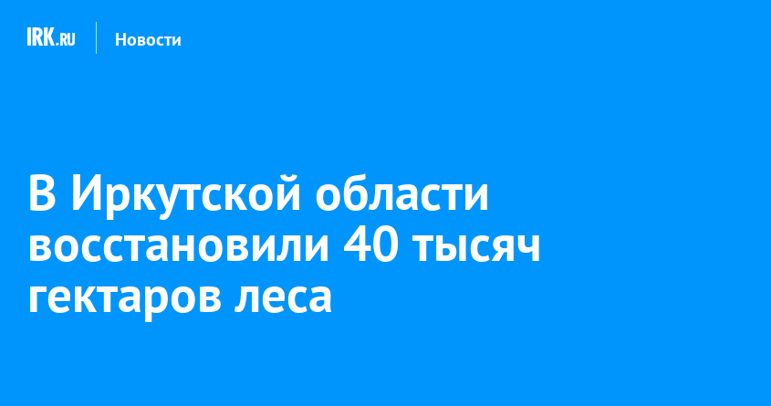 Федеральный проект сохранение лесов паспорт