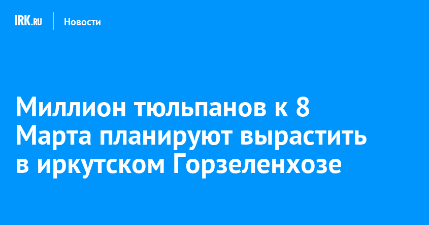 Миллион тюльпанов к 8 Марта планируют вырастить в иркутском Горзеленхозе