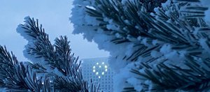 Морозный понедельник в Иркутской области: трансляция