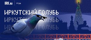Новогодняя игра от IRK.ru «Иркутский голубь»