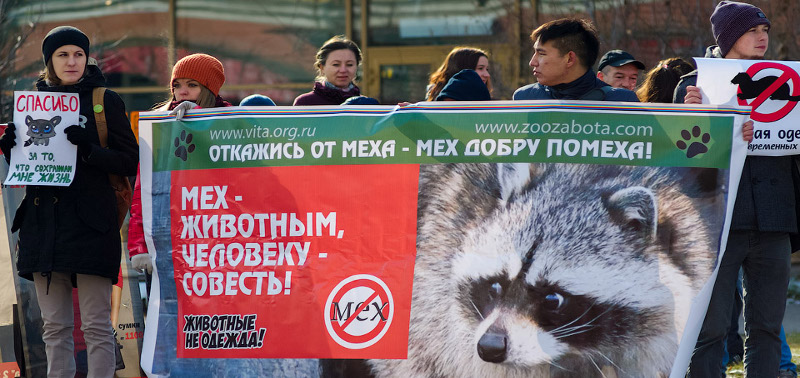 Акция прошла под лозунгом «Животные не одежда!».
