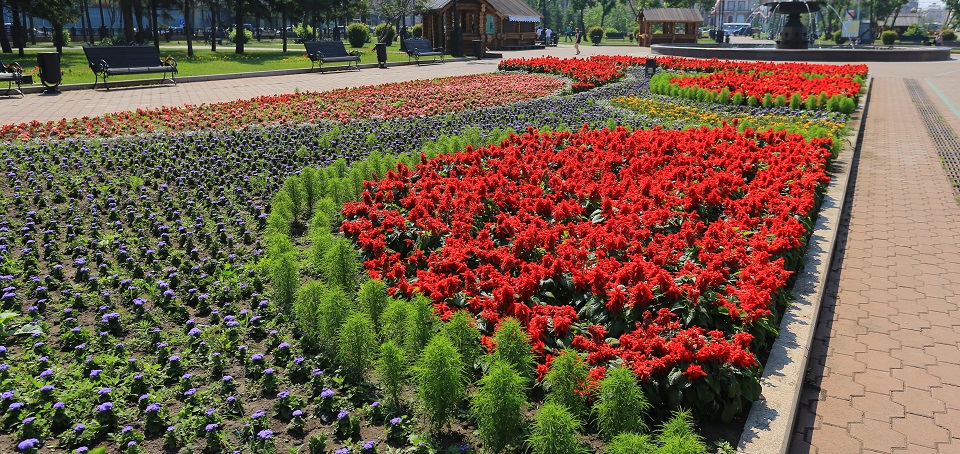 Клумбы и скверы города — в нашем фоторепортаже.