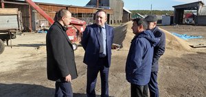 В Иркутском районе картофеля собрано на треть больше, чем в прошлом году