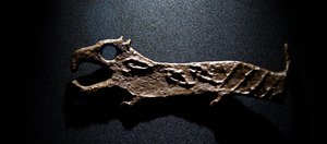 Нам такое и не снилось. В Иркутске открылась выставка «Сны Сибири»