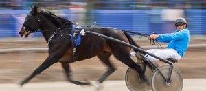 «Соревнования станут ежегодными». В Иркутском районе прошли конные скачки на призы мэра