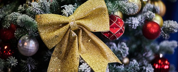 На какого мультяшного коня ты похож? Шуточный тест от IRK.ru