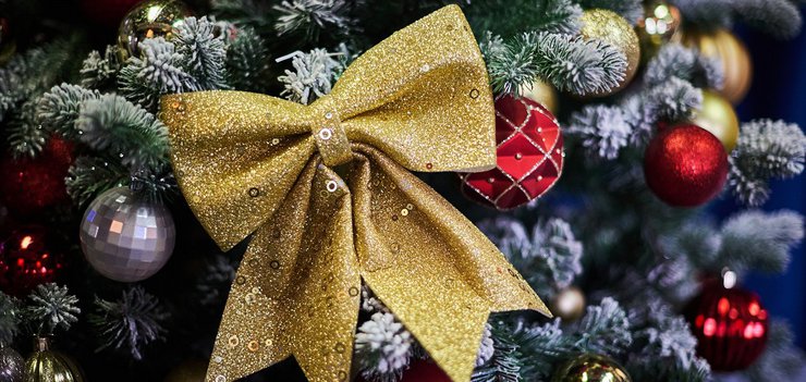 Пройди тест и узнай, какой ты символ года.