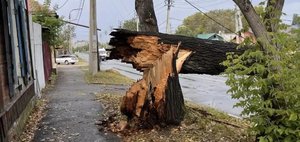 Мощный ливень затопил дороги, парковки и подъезды в Иркутске